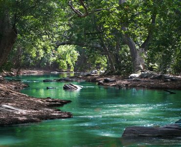 Scenic river with vibrant green water winding through a forest